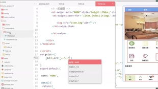 vue2.x node.js 开发拼多多商城项目实战